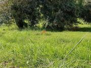 Terreno em Condomínio para Venda em Maricá/RJ Pilar