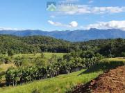 Terreno em Condomínio para Venda em Morretes/PR Anhaia