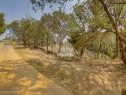 Terreno em Condomínio para Venda em Nova Lima/MG Green Park