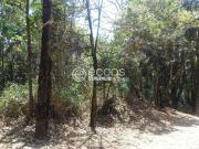 Terreno em Condomínio para Venda em Nova Lima/MG Passárgada