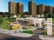 Terreno em Condomínio para Venda em Palhoça/SC Pedra Branca Terreno em Condomínio para Venda em Palhoça/SC Pedra Branca