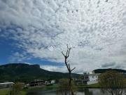 Terreno em Condomínio para Venda em Palhoça/SC Pedra Branca