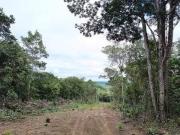Terreno em Condomínio para Venda em Palmeiras/BA Caeté Açu