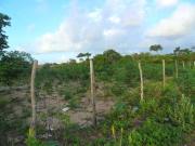 Terreno em Condomínio para Venda em Parnamirim/RN Parque...