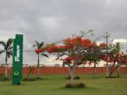 Terreno em Condomínio para Venda em Parnamirim/RN Pium... Terreno em Condomínio para Venda em Parnamirim/RN Pium...