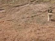 Terreno em Condomínio para Venda em Paulínia/SP Jardim Ypê