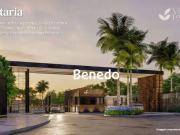 Terreno em Condomínio para Venda em Paulínia/SP Morumbi