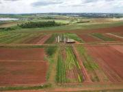 Terreno em Condomínio para Venda em Paulínia/SP Parque...