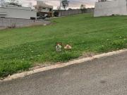 Terreno em Condomínio para Venda em Pindamonhangaba/SP...