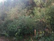 Terreno em Condomínio para Venda em Porto Alegre/RS...