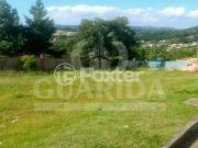 Terreno em Condomínio para Venda em Porto Alegre/RS...