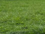 Terreno em Condomínio para Venda em Ribeirão Preto/SP...