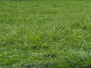 Terreno em Condomínio para Venda em Ribeirão Preto/SP...