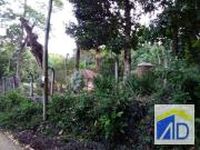 Terreno em Condomínio para Venda em Rio de Janeiro/RJ...