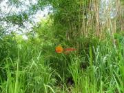 Terreno em Condomínio para Venda em São Gonçalo/RJ Maria...