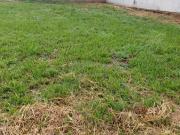 Terreno em Condomínio para Venda em São José do Rio...