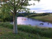 Terreno em Condomínio para Venda em São José dos...