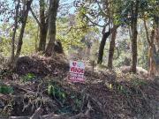 Terreno em Condomínio para Venda em São Paulo/SP Jardim Peri