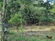 Terreno em Condomínio para Venda em São Paulo/SP Jardim...