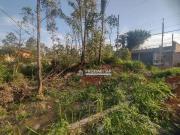 Terreno em Condomínio para Venda em São Paulo/SP Parque...