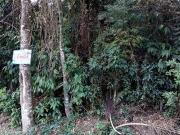 Terreno em Condomínio para Venda em São Paulo/SP Serra...