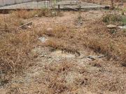 Terreno em Condomínio para Venda em Salto/SP Residencial...