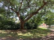 Terreno em Condomínio para Venda em Salto/SP Residencial...