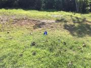 Terreno em Condomínio para Venda em Salvador/BA...