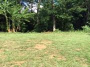 Terreno em Condomínio para Venda em Salvador/BA Alphaville I