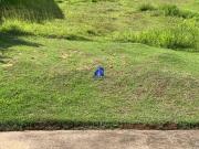 Terreno em Condomínio para Venda em Salvador/BA...