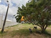 Terreno em Condomínio para Venda em Salvador/BA Stella Maris