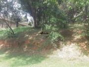 Terreno em Condomínio para Venda em Santana de...