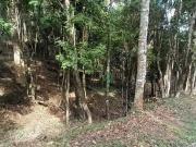 Terreno em Condomínio para Venda em Teresópolis/RJ...