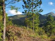 Terreno em Condomínio para Venda em Teresópolis/RJ...