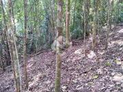 Terreno em Condomínio para Venda em Teresópolis/RJ...