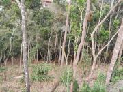 Terreno em Condomínio para Venda em Teresópolis/RJ Panorama