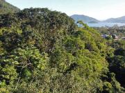 Terreno em Condomínio para Venda em Ubatuba/SP Praia da...
