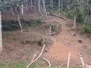 Terreno em Condomínio para Venda em Ubatuba/SP Praia do...