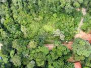 Terreno em Condomínio para Venda em Ubatuba/SP Praia do...