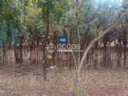 Terreno em Condomínio para Venda em Uberaba/MG Jockey Park
