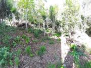 Terreno em Condomínio para Venda em Viamão/RS São Lucas