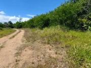 Terreno em Condomínio para Venda em Viamão/RS Parque...