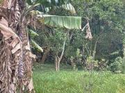 Terreno em Condomínio para Venda em Viamão/RS São Lucas