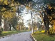 Terreno em Condomínio para Venda em Viamão/RS São Lucas