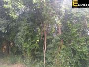 Terreno em Condomínio para Venda em Vinhedo/SP...