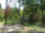 Terreno em Condomínio para Venda em Vinhedo/SP...