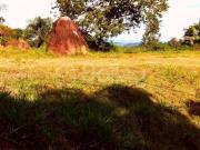Terreno em Condomínio para Venda em Vinhedo/SP Vale da...