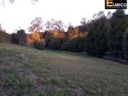 Terreno em Condomínio para Venda em Vinhedo/SP Vila Hipica