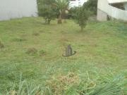 Terreno em Condomínio para Venda em Volta Redonda/RJ...