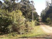 Terreno em Eldorado do Sul